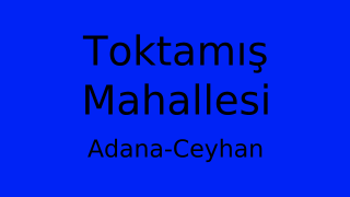 Toktamış Mahallesi Thumbnail