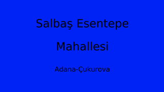 Salbaş Esentepe Mahallesi Thumbnail