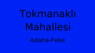 Tokmanaklı Mahallesi Thumbnail