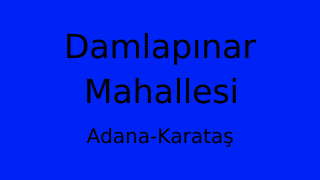 Damlapınar Mahallesi Thumbnail
