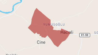 Hacıali Mahallesi, Yüreğir, Adana Thumbnail