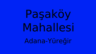 Paşaköy Mahallesi Thumbnail