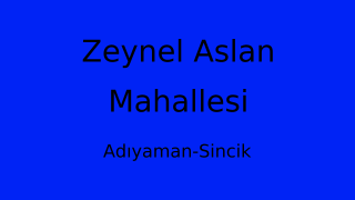Zeynel Aslan Mahallesi Thumbnail
