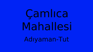Çamlıca Mahallesi Thumbnail