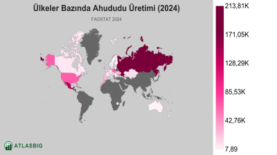 Ülkeler Bazında Ahududu Üretimi 2026 Thumbnail