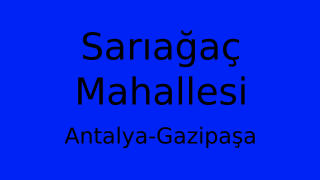 Sarıağaç Mahallesi Thumbnail