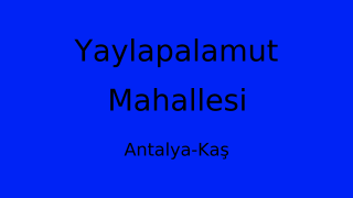 Yaylapalamut Mahallesi Thumbnail