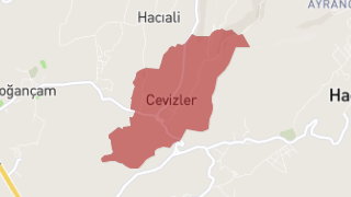 Cevizler Mahallesi Harita Thumbnail