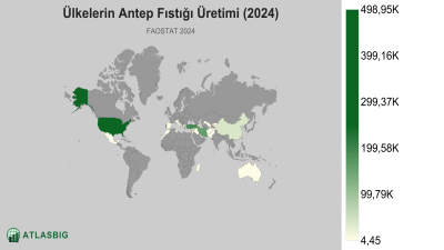 Ülkelerin Antep Fıstığı Üretimi (2024) Thumbnail