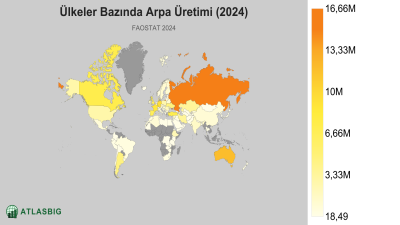 Ülkeler Bazında Arpa Üretimi (2024) Thumbnail