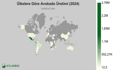 Ülkelere Göre Avokado Üretimi 2026 Thumbnail