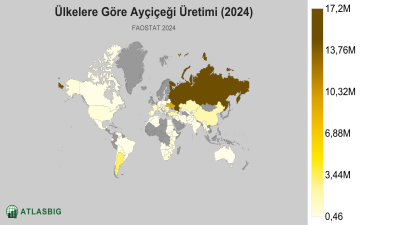 Ülkelere Göre Ayçiçeği Üretimi (2024) Thumbnail