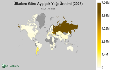 Ülkelere Göre Ayçiçek Yağı Üretimi 2026 Thumbnail