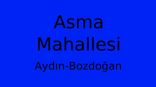 Asma Mahallesi Thumbnail