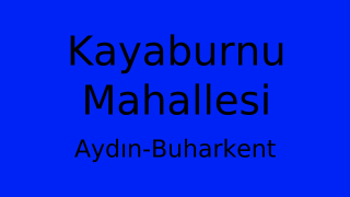 Kayaburnu Mahallesi Thumbnail