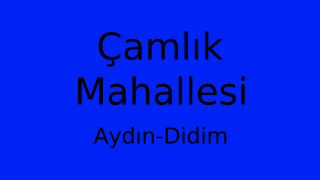 Çamlık Mahallesi Thumbnail