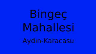 Bingeç Mahallesi Thumbnail