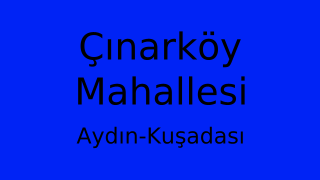 Çınarköy Mahallesi Thumbnail