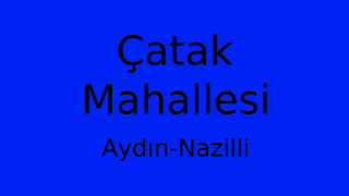 Çatak Mahallesi Thumbnail