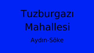 Tuzburgazı Mahallesi Thumbnail