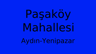 Paşaköy Mahallesi Thumbnail