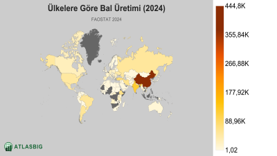Ülkelere Göre Bal Üretimi 2026 Thumbnail