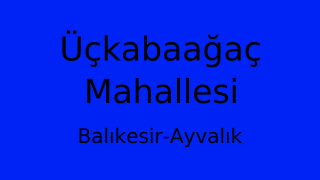 Üçkabaağaç Mahallesi Thumbnail