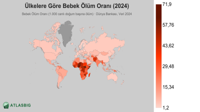 Ülkelere Göre Bebek Ölüm Oranı 2026