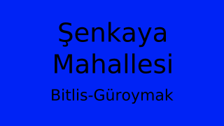 Şenkaya Mahallesi Thumbnail