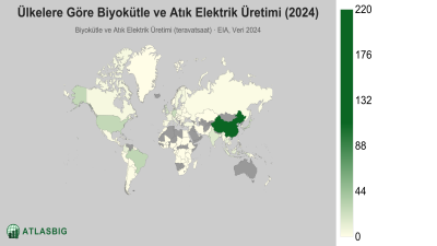 Ülkelere Göre Biyokütle ve Atık Elektrik Üretimi 2026