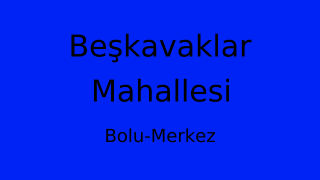 Beşkavaklar Mahallesi Thumbnail
