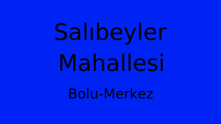 Salıbeyler Mahallesi Thumbnail