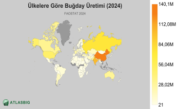 Ülkelere Göre Buğday Üretimi (2024) Thumbnail