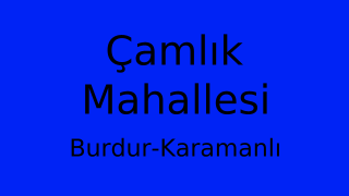 Çamlık Mahallesi Thumbnail