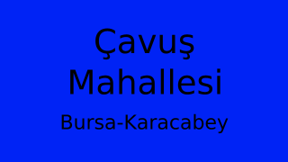 Çavuş Mahallesi Thumbnail