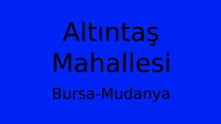 Altıntaş Mahallesi Thumbnail