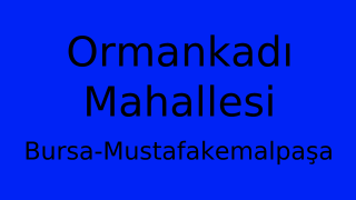 Ormankadı Mahallesi Thumbnail