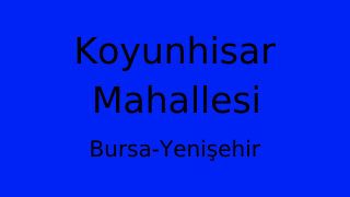 Koyunhisar Mahallesi Thumbnail