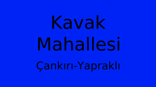Kavak Mahallesi Thumbnail