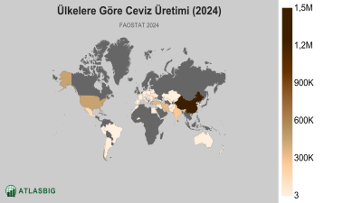 Ülkelere Göre Ceviz Üretimi (2024) Thumbnail