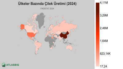 Ülkeler Bazında Çilek Üretimi 2026 Thumbnail