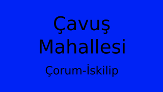 Çavuş Mahallesi Thumbnail