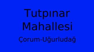 Tutpınar Mahallesi Thumbnail