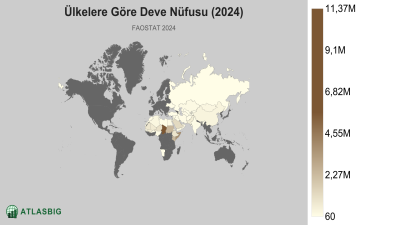 Ülkelere Göre Deve Nüfusu (2024) Thumbnail