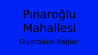 Pınaroğlu Mahallesi Thumbnail