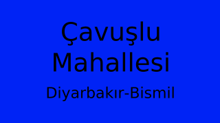 Çavuşlu Mahallesi Thumbnail
