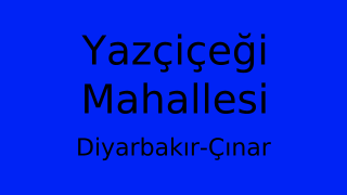 Yazçiçeği Mahallesi Thumbnail