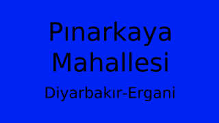 Pınarkaya Mahallesi Thumbnail