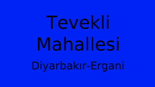 Tevekli Mahallesi Thumbnail