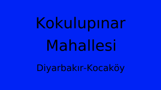 Kokulupınar Mahallesi Thumbnail
